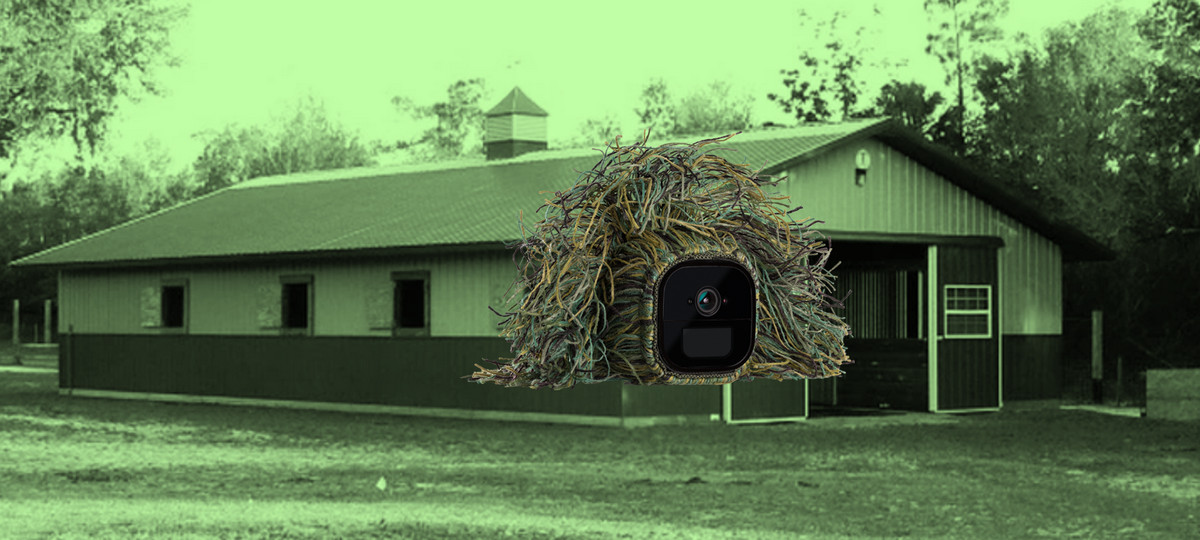 Calving and Camping: Reviewers Share 15 Real-Life Applications for Wire-free Arlo Go Cam