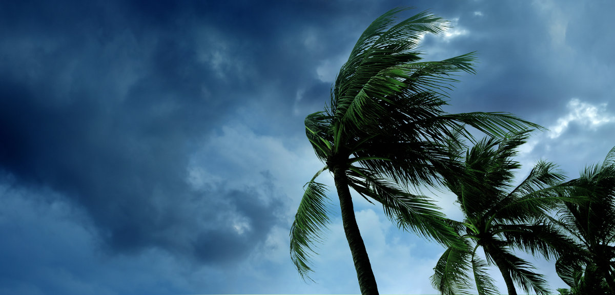 How to Handle Hurricane Season
