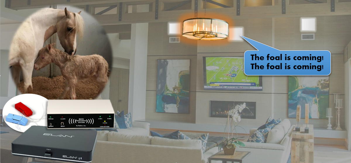 ‘Foal Alert’ Integrates with Elan Home Automation, Warns when Birthing is Neigh