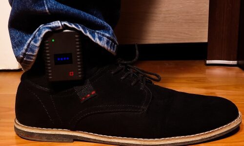 How to Earn $85K Per Month Monitoring House Arrest Bracelets