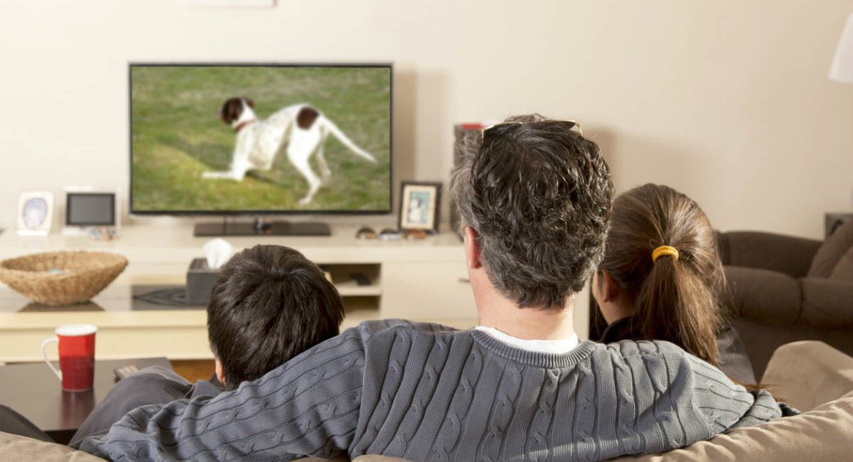 Research Shows Screen Size, Picture Quality Drives Replacement TV Purchases