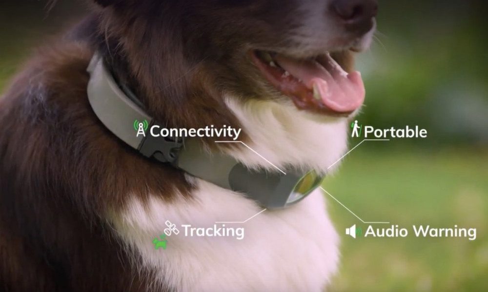 CES 2019 Preview: 9 Smart Home, IoT, Security and Wellness Co’s. You Never Heard of, slide 4