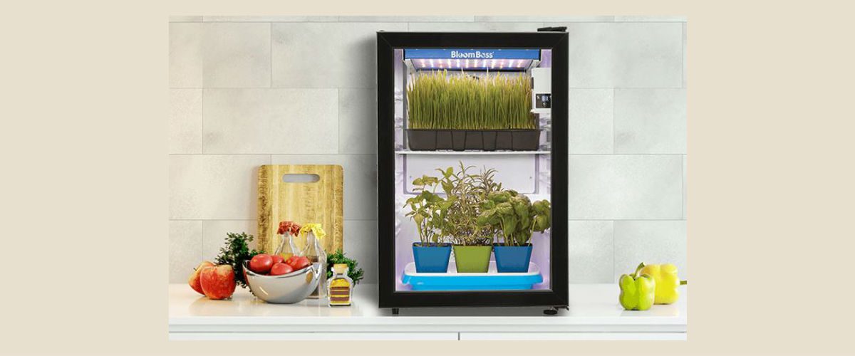 CEDIA Expo Design + Connection: Danby Shows Off Smart & Stylish Appliances