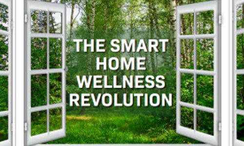 Wellness Webinar