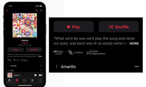 Apple Music Lossless Dolby Atmos Spatial Immersive