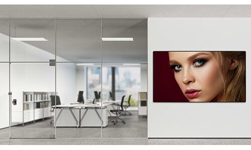 Optoma FHDS130 LED Display