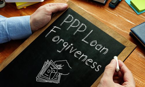 US Government Launches Payment Protection Program Forgiveness Portal