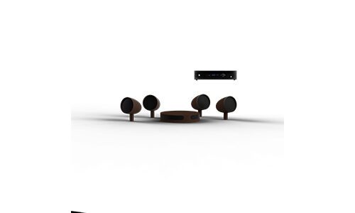 Origin Acoustics AS51 system