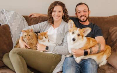 Wash. Integrator Builds Unique Business Model Fully on Shades, Energy