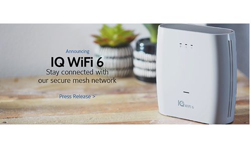 Johnson Controls IQ WiFi 6 Mesh Router - CEPRO