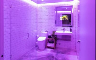 Smart Bathrooms Offer Integrators Wealth of Wellness Opportunities