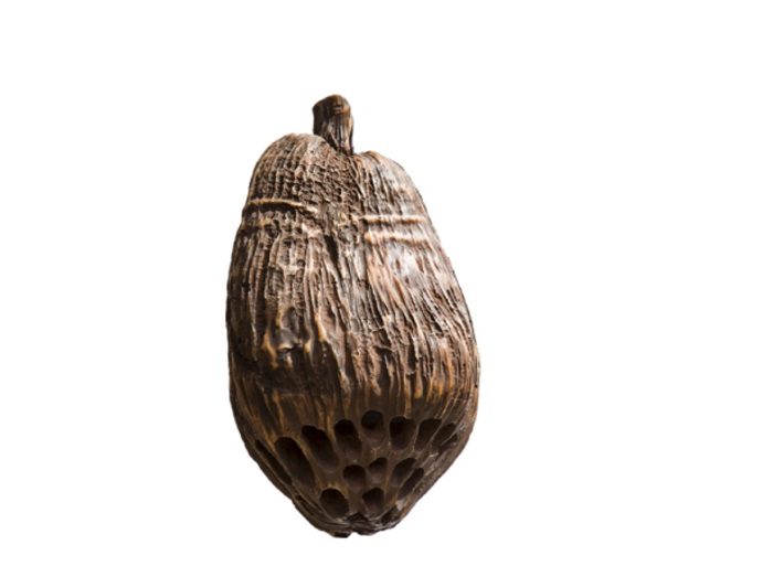 Rockustics Coconutz Speaker