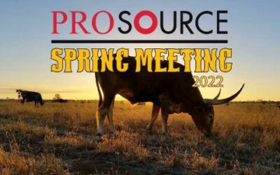ProSource Spring Meeting Tackles Business Challenges, Honors Top Vendors & Members