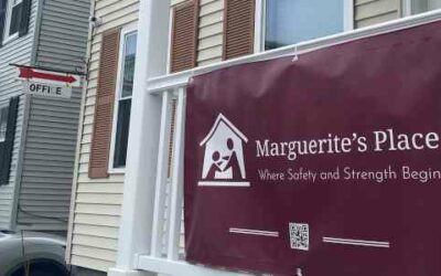 Extensive Surveillance System Ensures Safe Haven for Domestic Abuse Victims