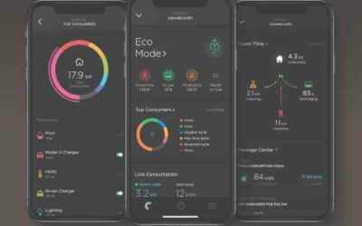 Integrator Uses Savant Power to Energize Business