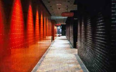Learning the Skill and Art of Landscape Lighting Design