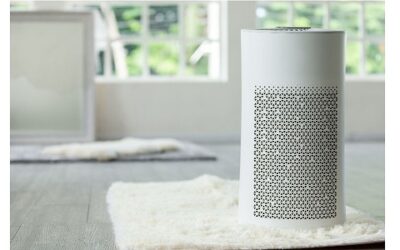 11% Growth Expected in Air Purifier Market