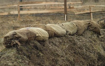 Get Out of Your ‘Referral Foxhole’ and Start Marketing