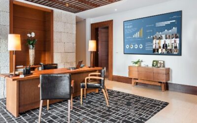 Planar Luxe UltraRes X 100ย LCD Display