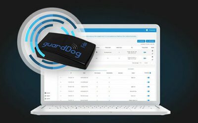 Rethink Cybersecurity with guarddog.ai