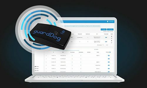 Rethink Cybersecurity with guarddog.ai