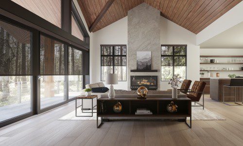Screen Innovations Nano 2 motorized shades screens