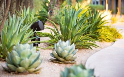 How to Design Great Sound Systems for the Great Outdoors