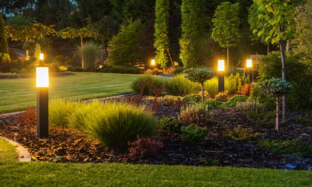 Realtors Find Landscape Lighting 'Most Desirable' Outdoor Addition - CEPRO