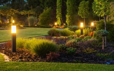Realtors Find Landscape Lighting ‘Most Desirable’ Outdoor Addition