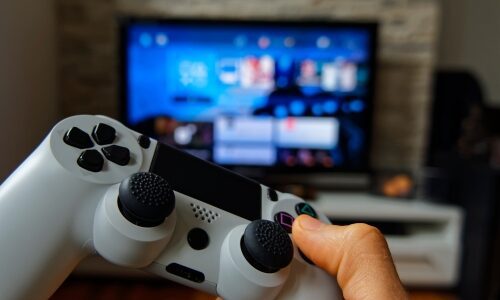 Gamer holding up Playstation peripheral in front of flatscreen TV playing videogames