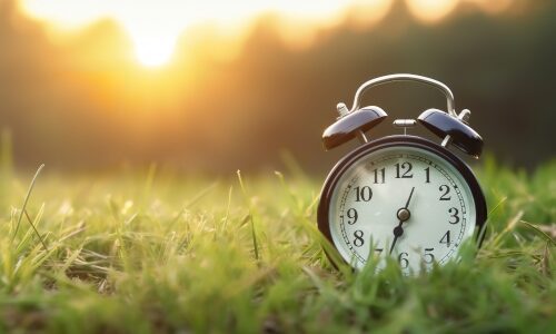 Alarm clock in field to signify circadian lighting subject being discussed in The Light Doctor by Dr. Martin Moore-Ede.