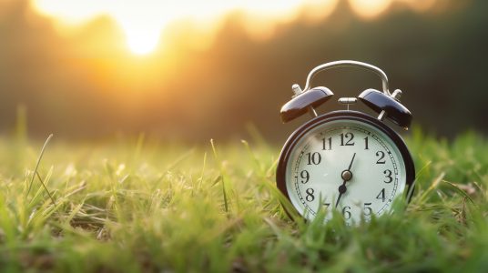 Alarm clock in field to signify circadian lighting subject being discussed in The Light Doctor by Dr. Martin Moore-Ede.