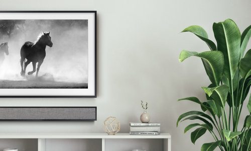 Leon 44UX framebar