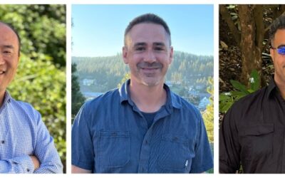 Bravas LLC Acquires Avid Home Theater