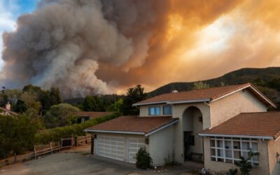 How to Reduce Wildfire Smoke Exposure Using IAQ Systems