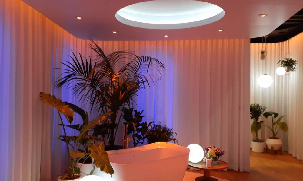 Lighting & Shade Solutions Branch Out Impressively at CEDIA Expo