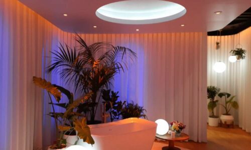 Lutron lighting shades CEDIA Expo 2023