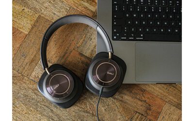 DALI 10-12 Headphones Levy Floorstanding Speaker Quality in a Portable Package
