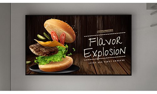 Sony Professional EZ20L series of displays