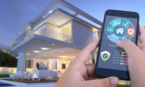 Man in front of smart home villa with smart home controls, states with the most smart homes in them.