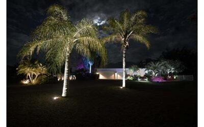 WAC’s Colorscaping System Turns Landscape Lighting into a Dazzling Nighttime Display