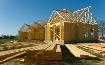 Home Sales Thaw in January as New Builds Continue to Slow