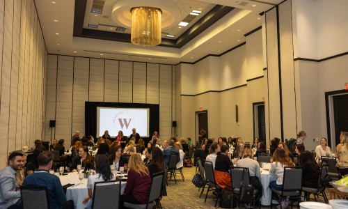 Women in Lighting Design luncheon hosted by Women in Consumer Technology Lightapalooza 2024