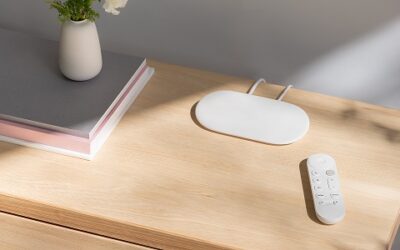 Google Updates Smart Home Devices with New Streamer, Nest  Thermostat and AI Features