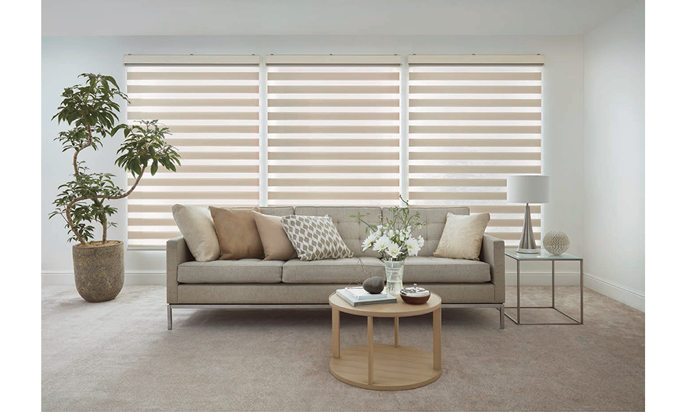 PowerShades Zebra Shades