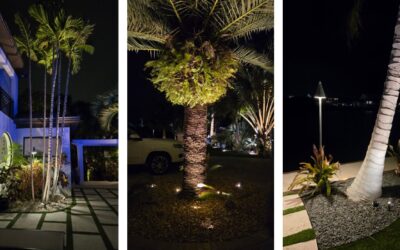‘Palms in Paradise’ Event Showcases Coastal Source Story