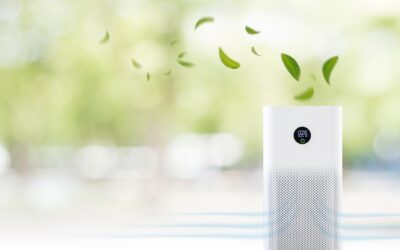 5 Years Later: What’s Become of the COVID-Era Home Wellness Boom?