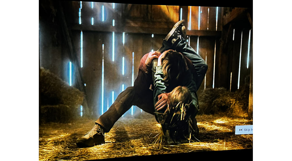 Epson QL7000 Ellie Last of Us