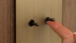 Lutron Avienna