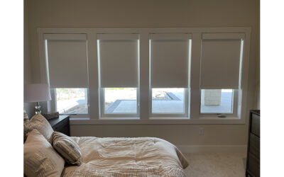 Hello Darkness My Old Friend: Giving Credit to Shading’s Other Half